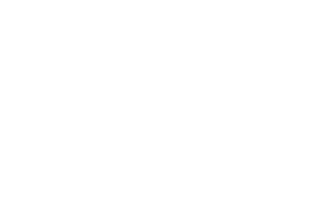 Logo Phoenix Reset blanc Logo phoenix blanc